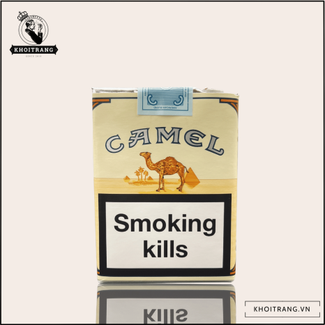 Camel không đầu lọc